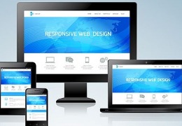 大型网站平台定制方案